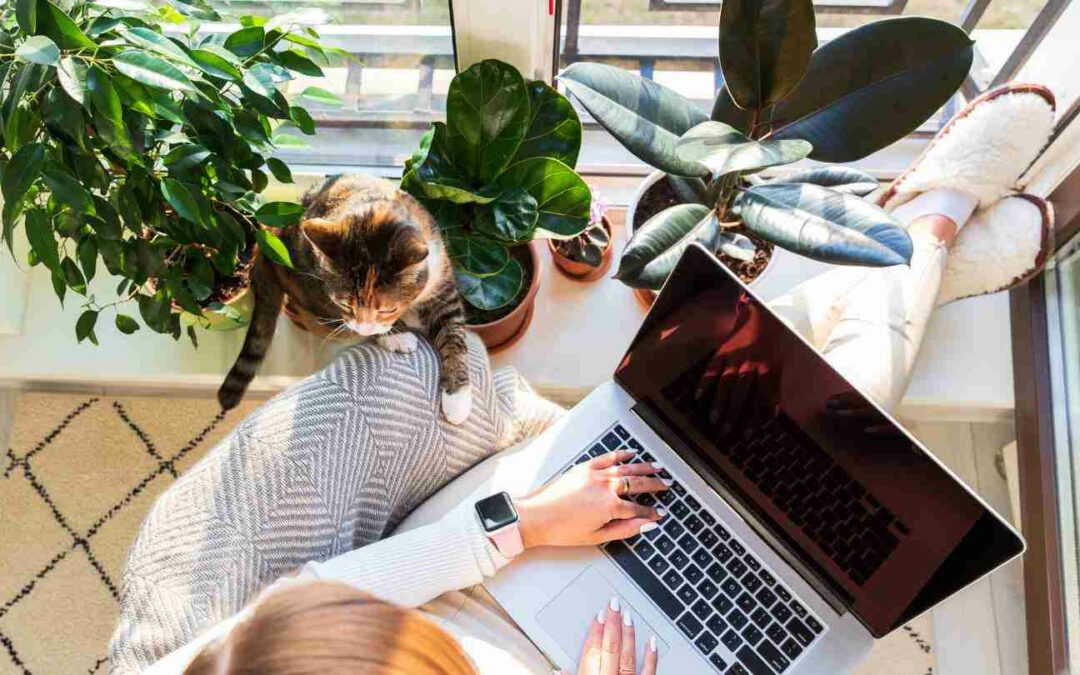 How Many Years Back Do You Need to File FBAR?