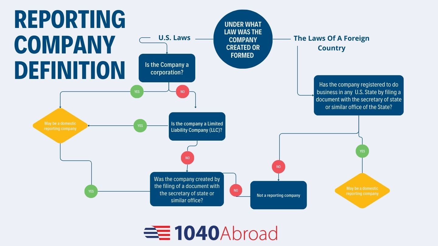 reporting company definition